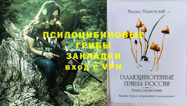 Альфа ПВП Баксан